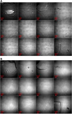 Isotropy frequency-domain extension imaging and its application in detection of nanostructures